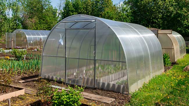 Green House One$: Rahasia Hiburan Keluarga di Tengah Cilacap